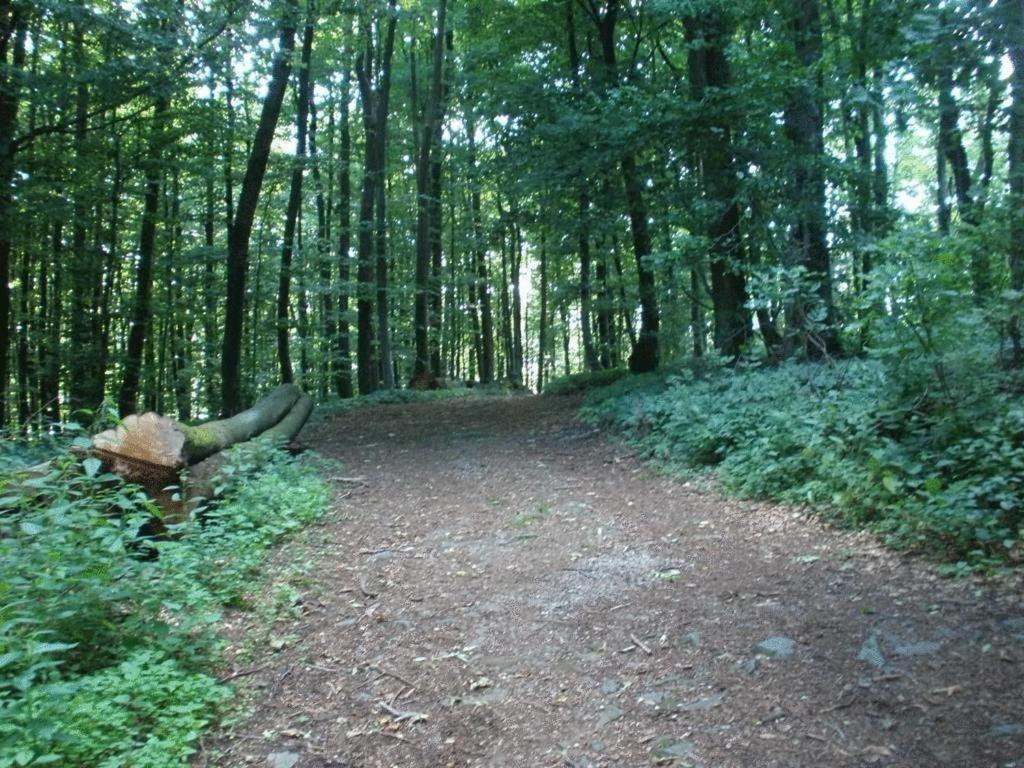 Ferienwohnung Irmgard Und Ferienwohnung Gerlinde Waldbrunn  Bagian luar foto